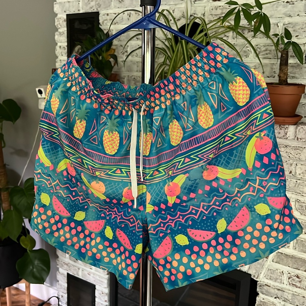 Chubbies Stretch 5.5”